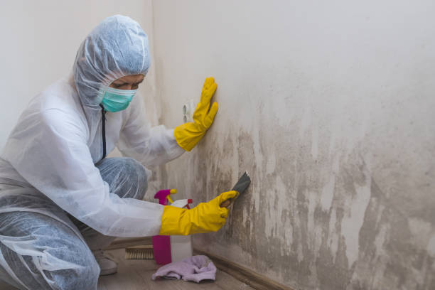 Best Commercial Mold Remediation in Woodcliff Lake, NJ
