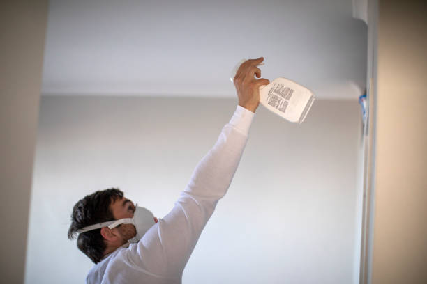 Best Basement Mold Remediation in Woodcliff Lake, NJ