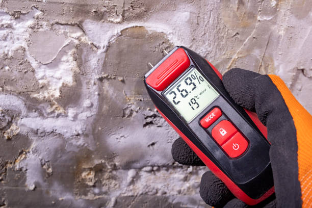 Woodcliff Lake, NJ Mold Remediation Company
