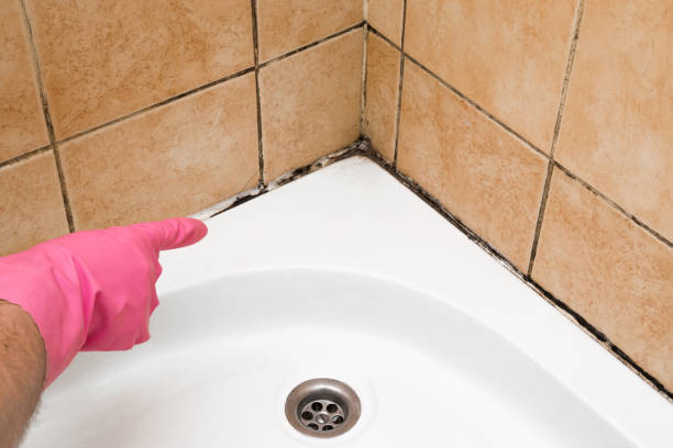 Best Localized Mold Remediation (e.g., coastal areas, humid climates) in Woodcliff Lake, NJ